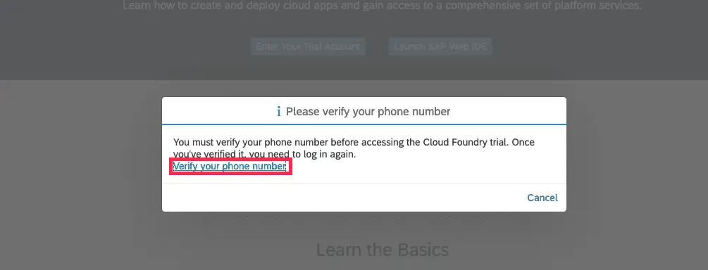 Mobile Verification Screen of SAP CPI