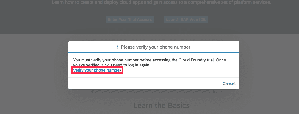 Mobile Verification Screen of SAP CPI