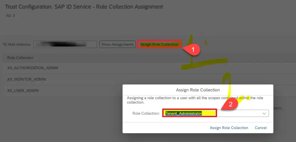 Assigning role in SAP CPI