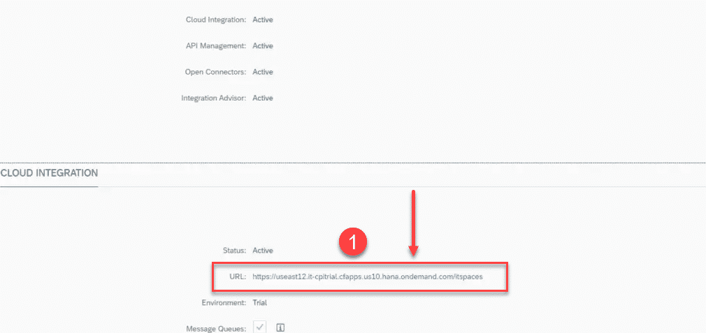 URL for Cloud Integration SAP