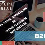 Data Store operations in CPI